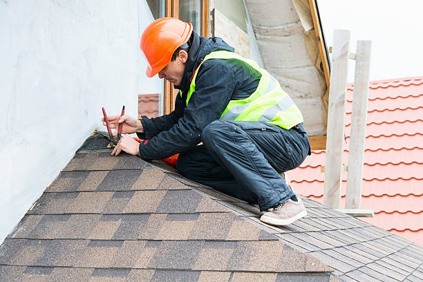 Best Roof Gutter Cleaning  in Escatawpa, MS