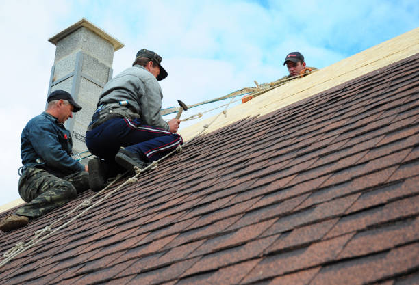 Best Storm Damage Roof Repair  in Escatawpa, MS